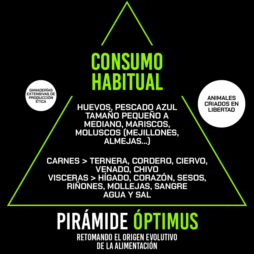 PIRÁMIDE ÓPTIMUS CONSUMO HABITUAL