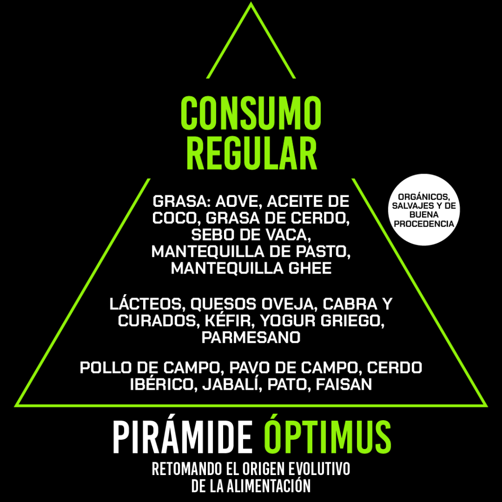 PIRÁMIDE ÓPTIMUS CONSUMO REGULAR